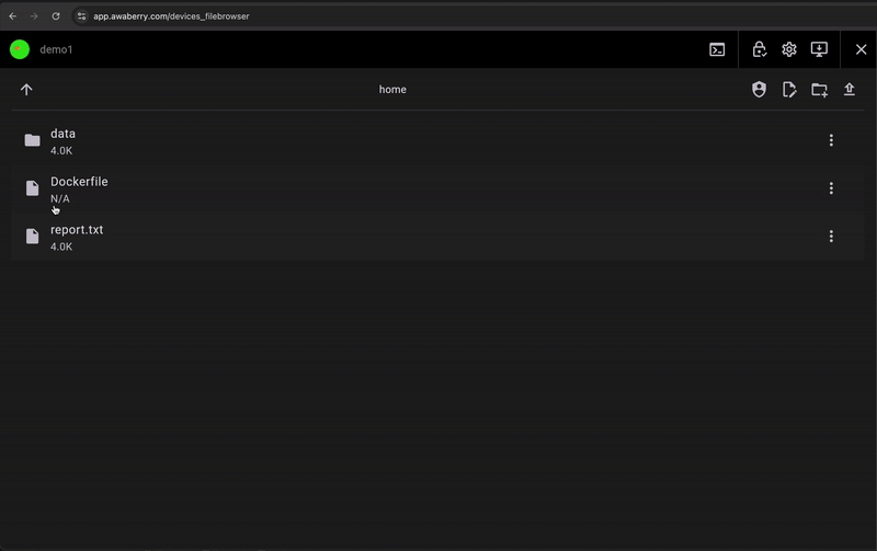 awaBerry Remote Web App File Browser