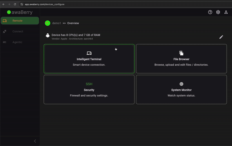 awaBerry Remote Web App Smart Terminal